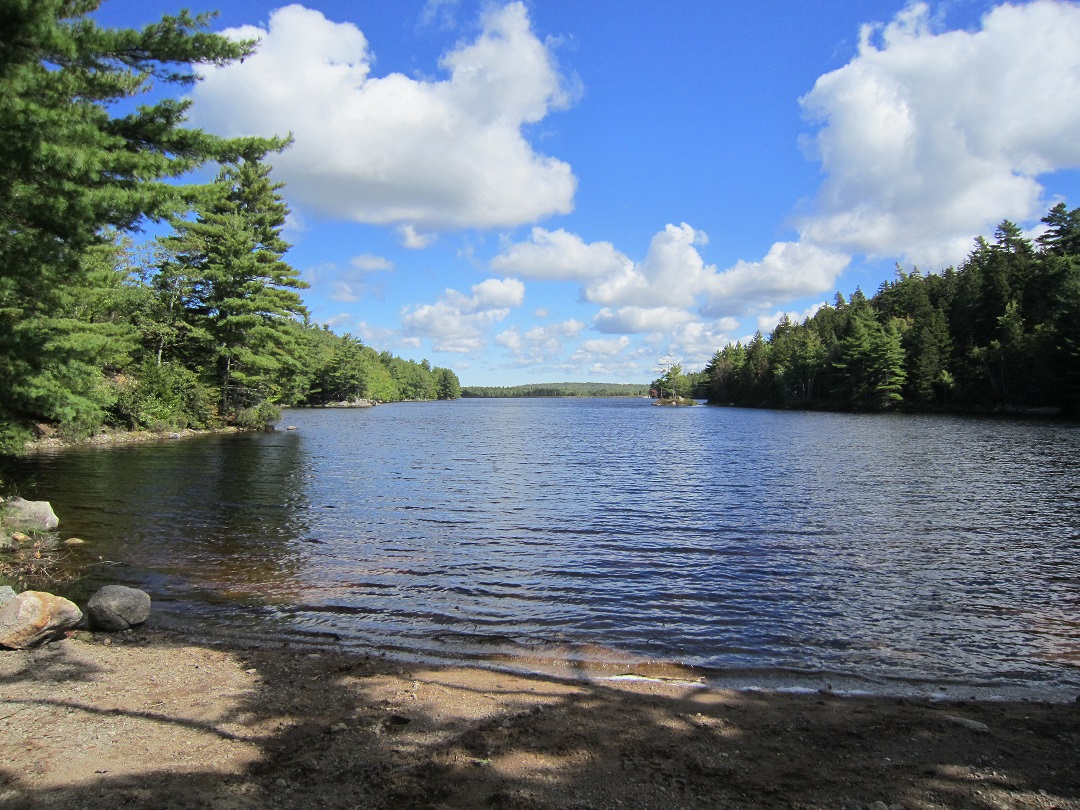 Lunch spot on Nictaux Falls hike 09/19/20.